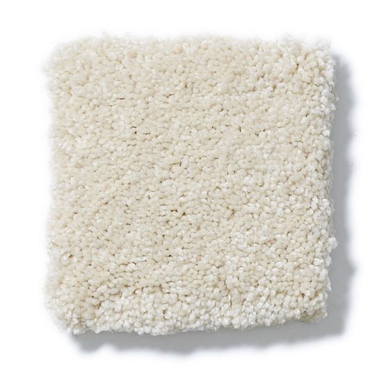 Pet Perfect Pawparazzi Ii Antiquity Nylon Carpet - Textured