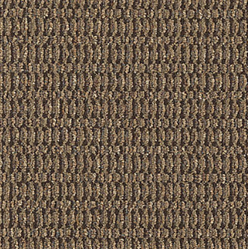 Intuitive Contemplate Envision Nylon Carpet - Loop