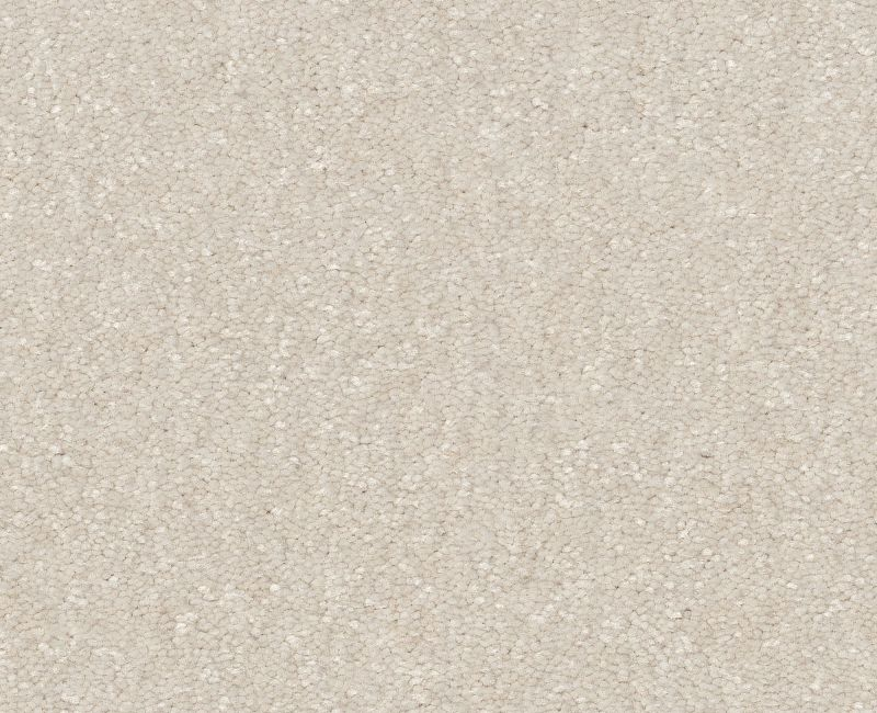 Pet Perfect Hard At Play II 15' Snowfall Polyester Carpet - Textured