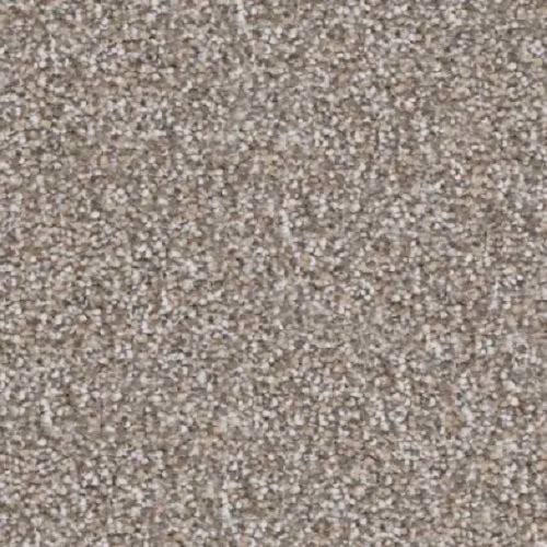 Best Of All Lookout Polyester Carpet - Textured
