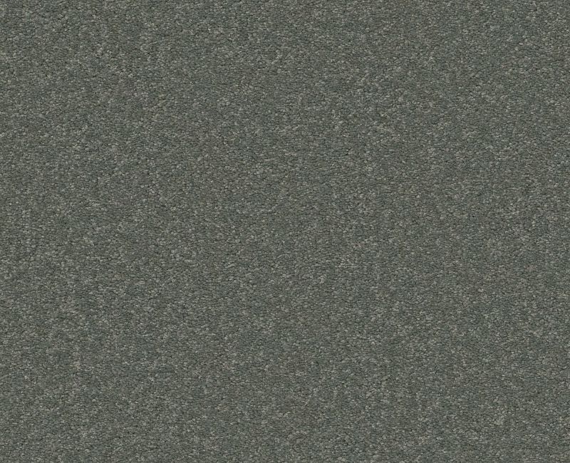 Bright Spirit Iii 12' Slate Nylon Carpet - Textured