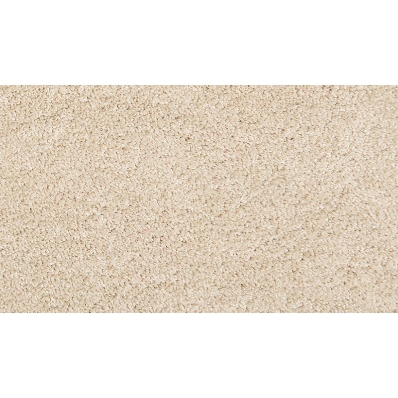 Pleasant Touch Frosted Almond Triexta Carpet - Textured