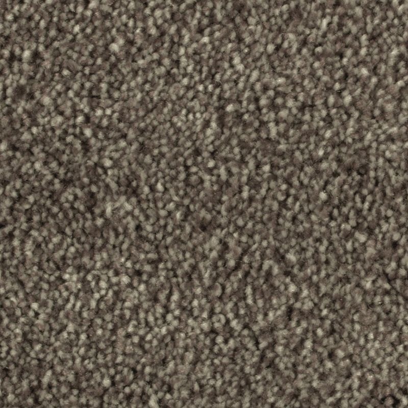 Distinct Beauty Ii Native Soil Polyester Carpet - Textured
