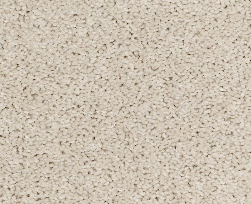 Orlando PV Canvas Nylon Carpet - Textured