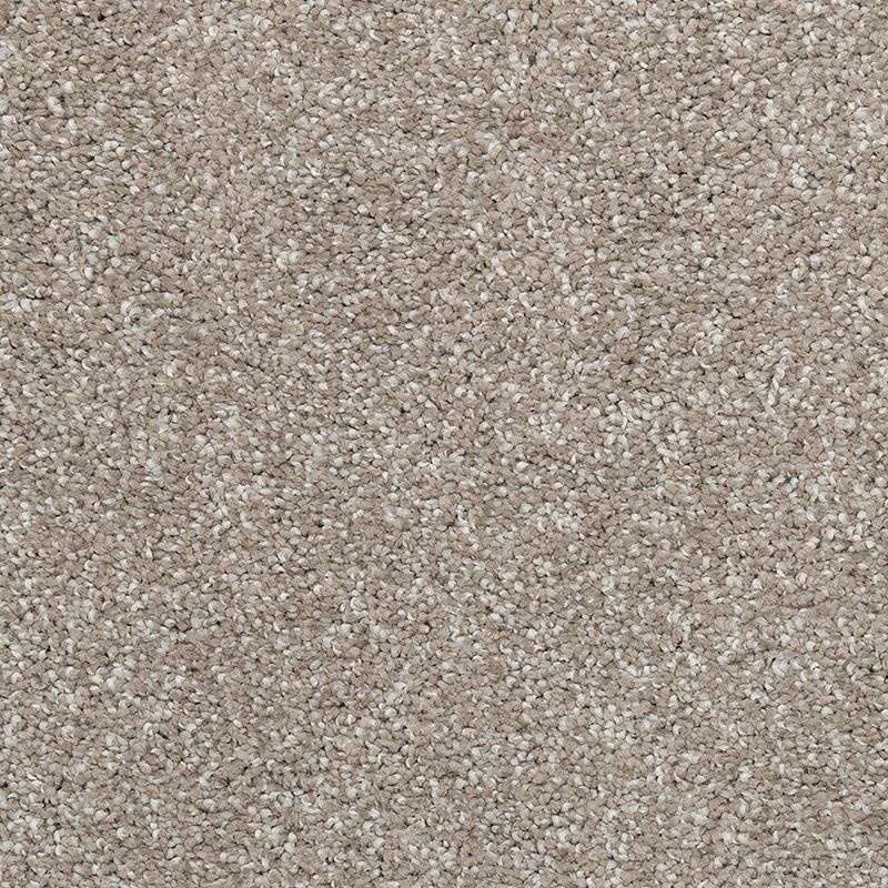 Stonington Manor Ii Mineral Grey Triexta Carpet - Textured