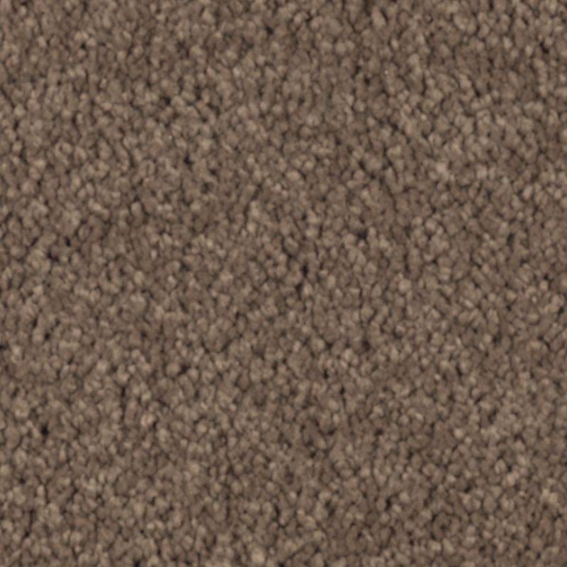 Natural Splendor I Nutmeg Triexta Carpet
