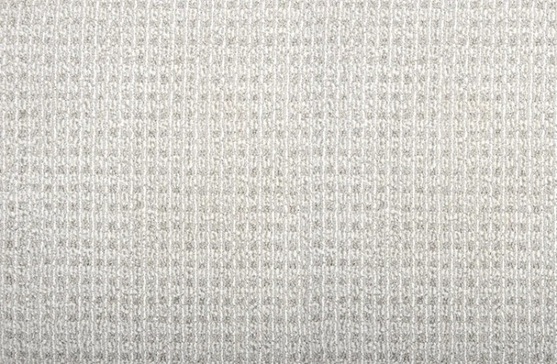 Pet Guard Sir Leon Metal Solution Dyed Polyes Carpet - Loop
