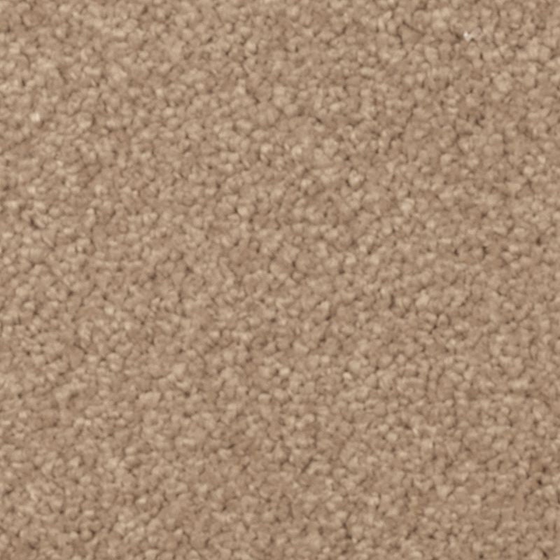 Natural Splendor I Spiced Tea Triexta Carpet - Textured