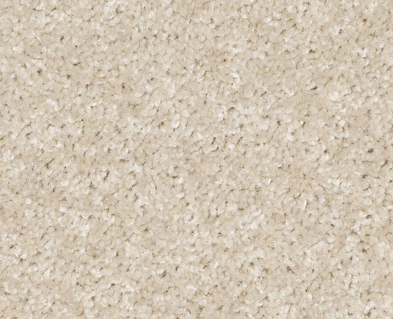 Instant Winner Stratosphere Nylon Carpet - Textured