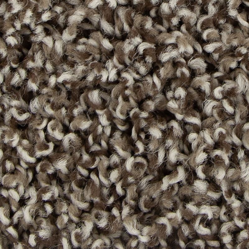 Color Fusion II Highlander Polyester Carpet - Textured