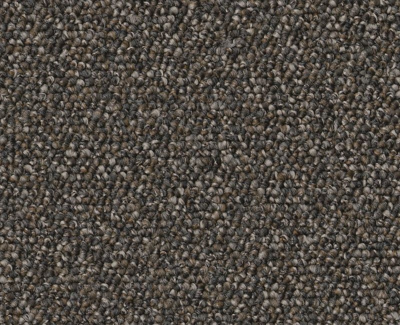 Clearance Sale! Avenue Brown Black Polyester Carpet - Textured