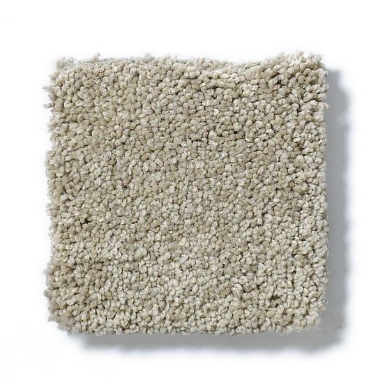 Pet Perfect Pawparazzi Ii Driftwood Nylon Carpet - Textured