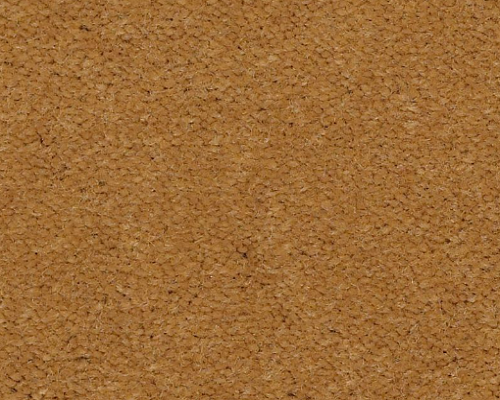 Emphatic II 30 Gold Coast Nylon Carpet - Textured