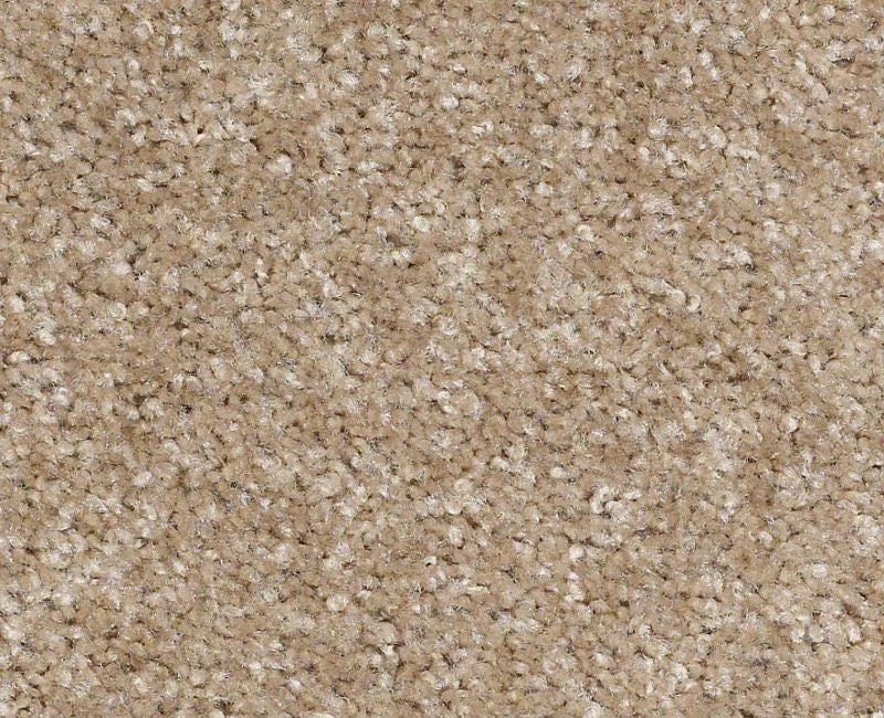 Instant Winner Soft Suede Nylon Carpet - Textured