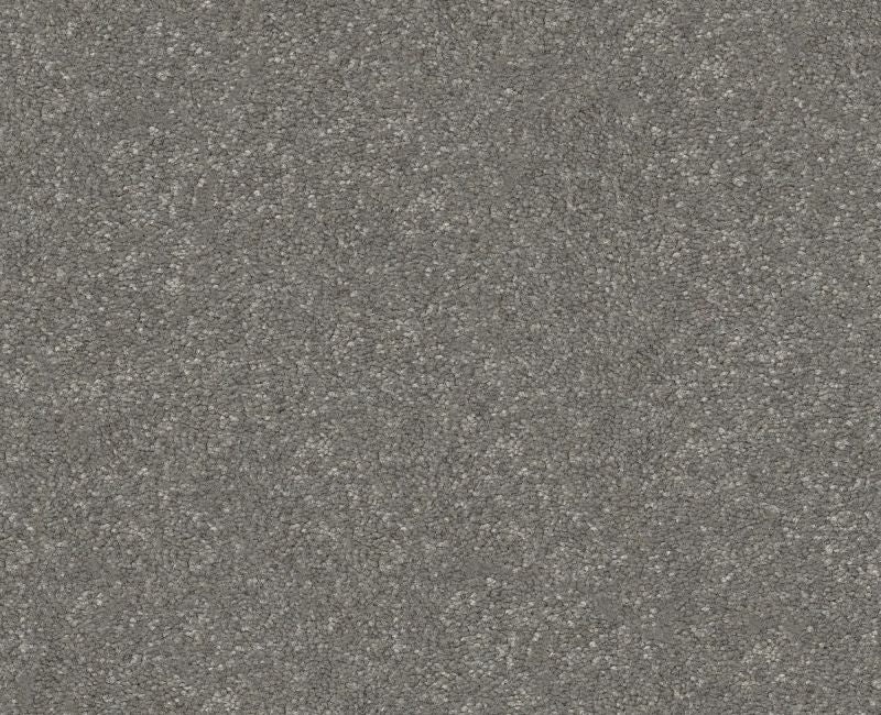 Off The Leash Ii 15 Shy Sage Polyester Carpet - Loop