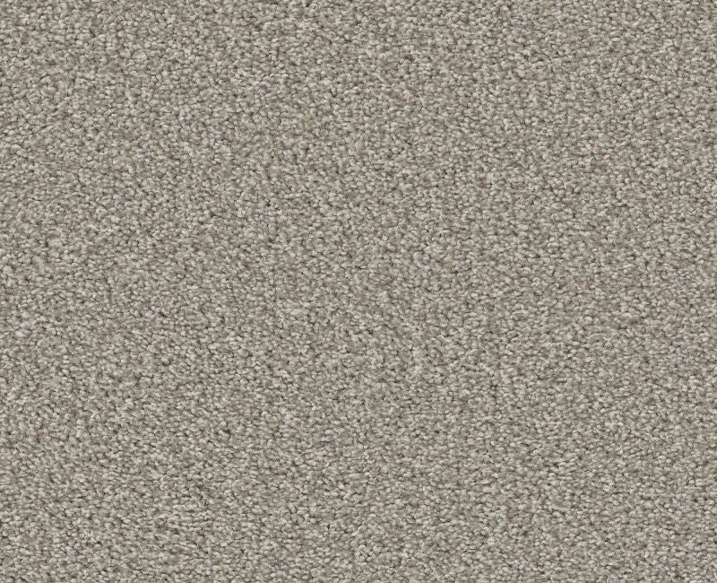 Trusolutions Iii Stone Path Polyester Carpet - Textured