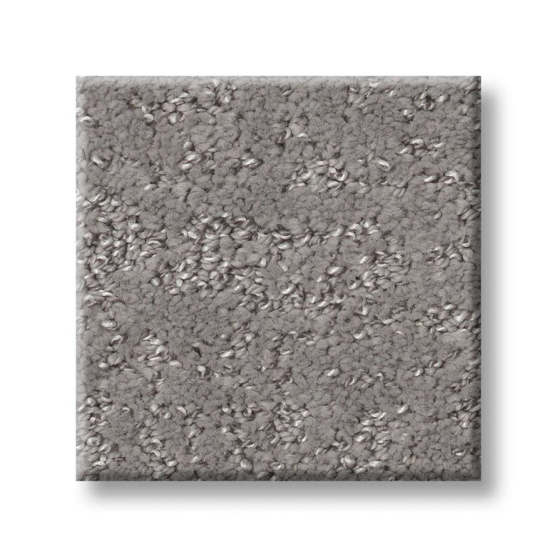 Pet Perfect Plus Home Within Vintage Polyester Carpet - Pattern