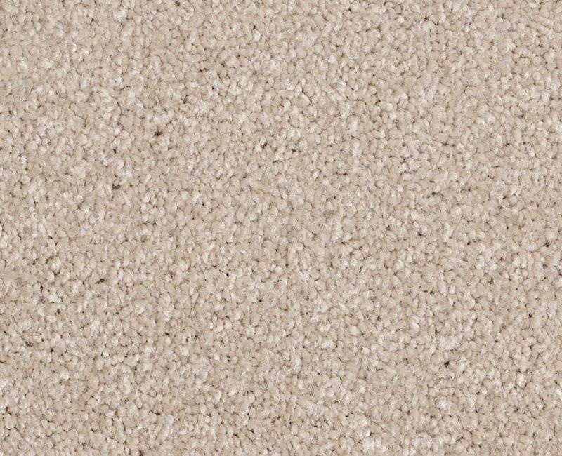 Anso Open Ii (S) French Canvas Nylon Carpet - Textured