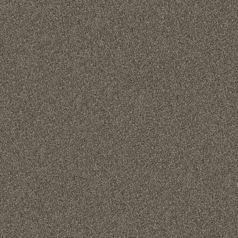 Pet Perfect Yes You Can I 15' Urban Rustic Textured Polyester Carpet — Full Roll