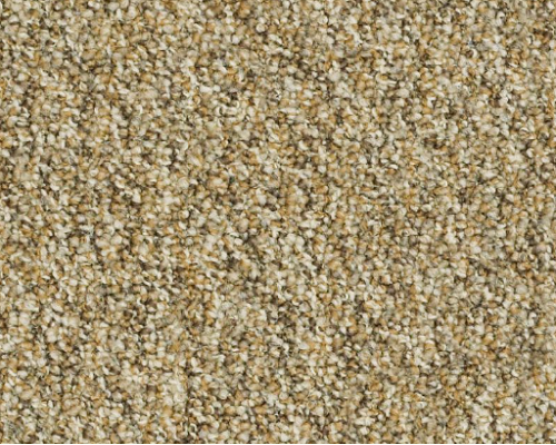 Franchise Ii 28 Woodland Nylon Carpet - Loop