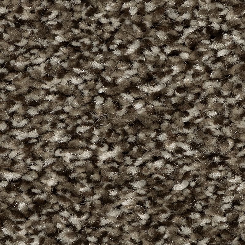 Refreshing Shades Powerful Polyester Carpet - Textured