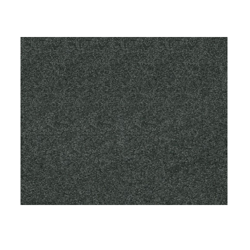 Dawning Cape Verde Nylon Carpet - Textured