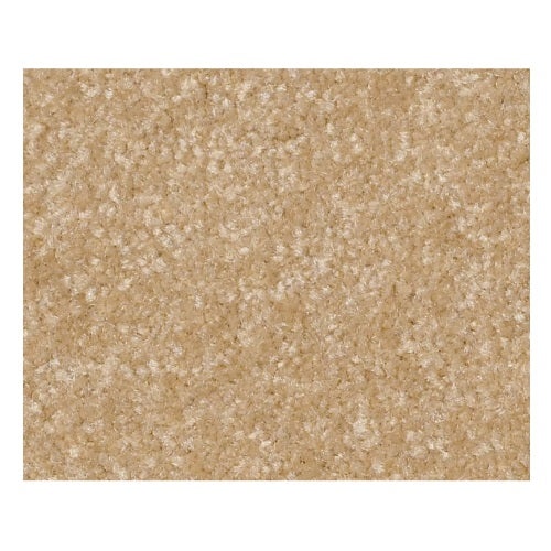 Qs239 Iii 12' Butter Nylon Carpet - Textured