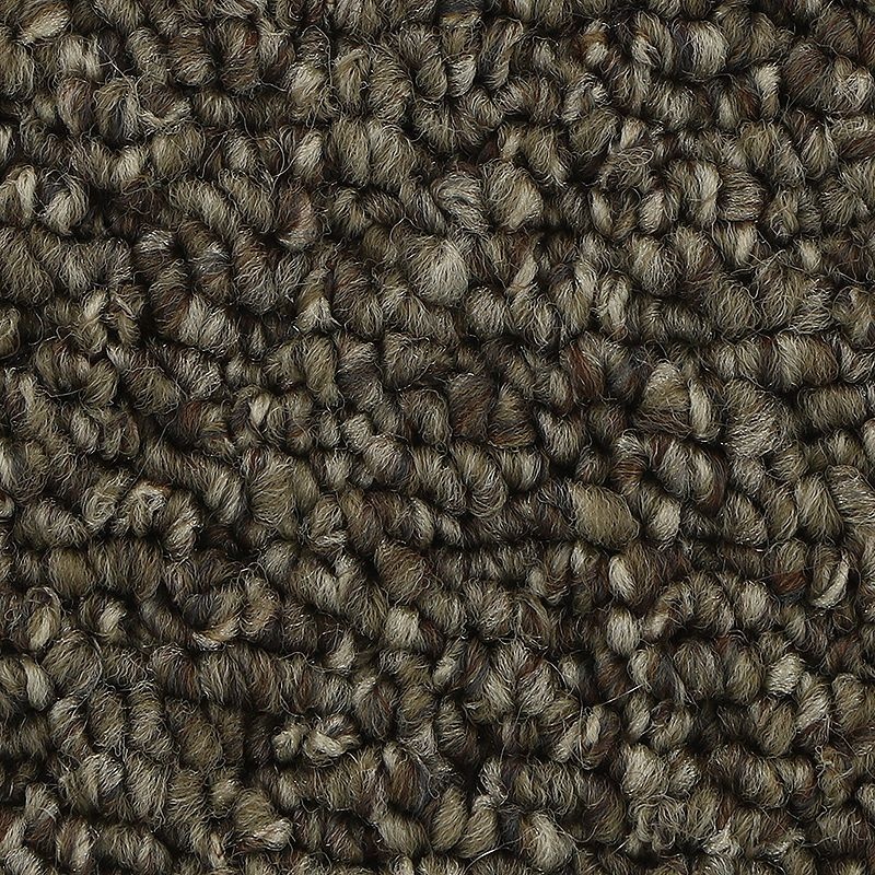 Pure Admiration Perfect Taupe Polyester Carpet - Pattern