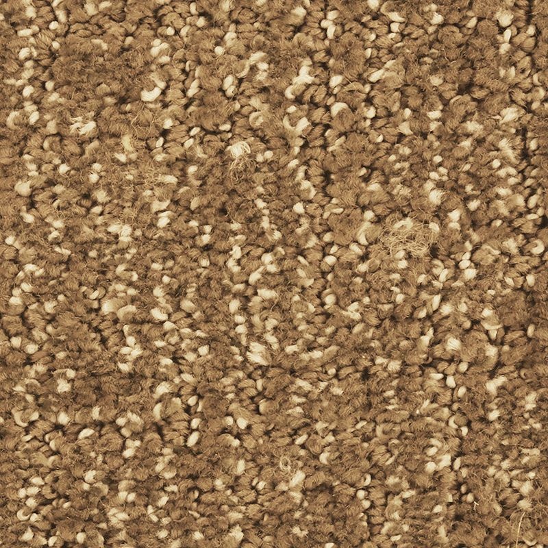 Natural Artistry Urban Taupe Triexta Carpet - Pattern