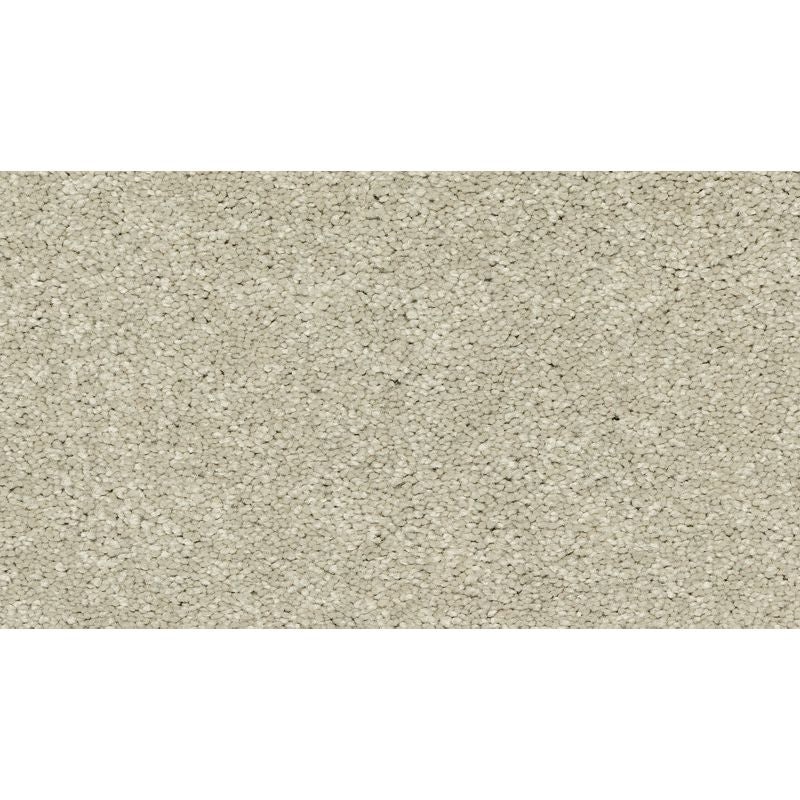 Modern Story Iii Early Frost Polyester Carpet - Textured