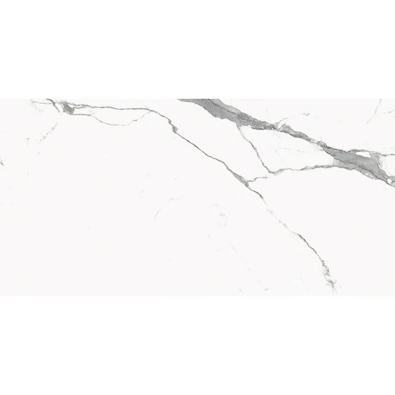 Classico Statuario Porcelain Tile - Matte - 24" X 48"