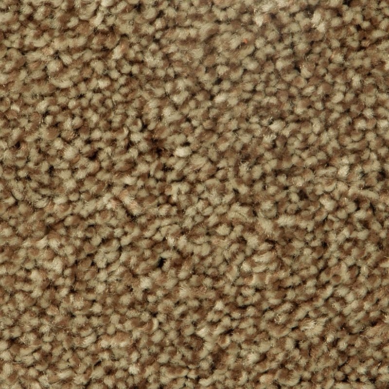 Distinct Beauty I Manhattan Polyester Carpet - Textured