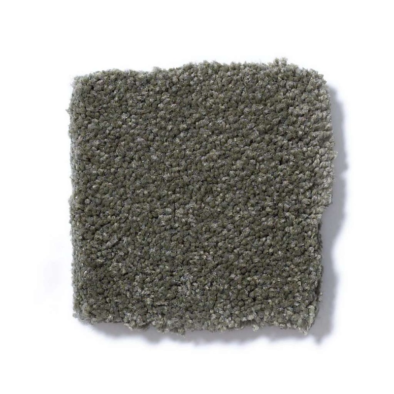 Sandy Hollow Classic Iv 15' Alpine Fern Nylon Carpet - Textured