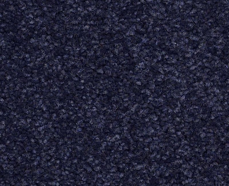Bright Spirit Ii 12' Indigo Nylon Carpet - Textured