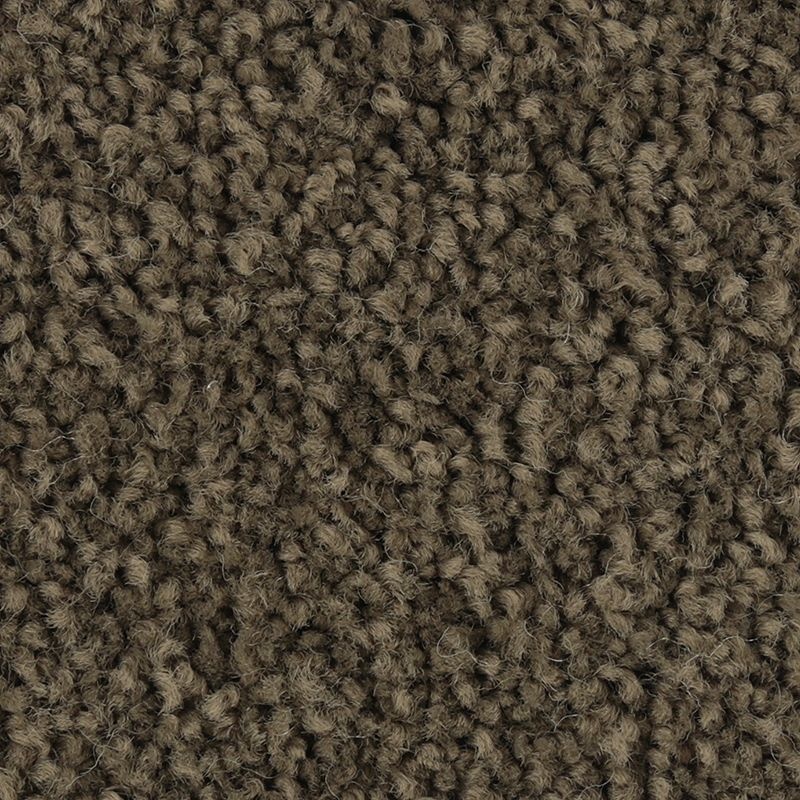 Coastal Fashion I Eternity Nylon Carpet - Textured