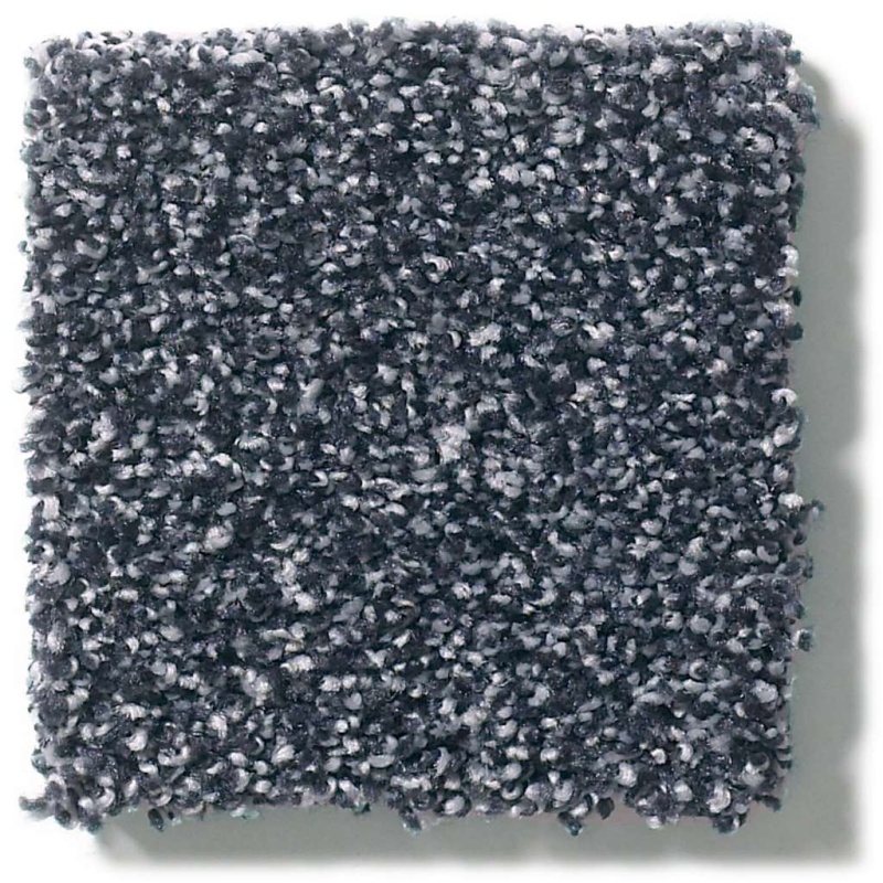 Foundations Always Ready Ii Royal Navy Nylon Carpet - Textured