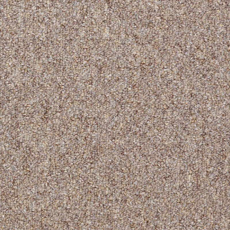 Capital Iii Bl Justice Nylon Carpet - Textured
