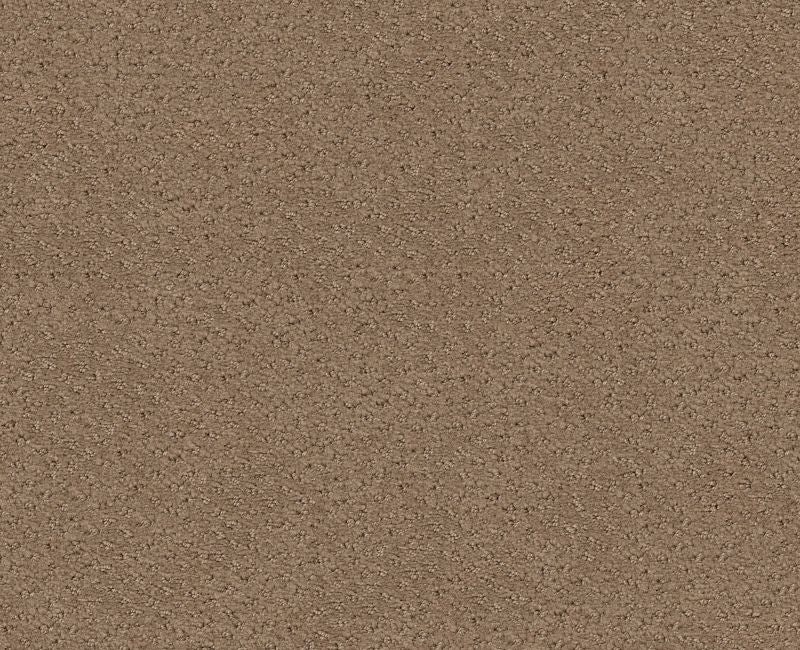 Main Squeeze Raw Wood Nylon Carpet - Textured
