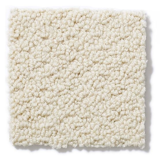 Pet Perfect On Point Euro Linen Nylon Carpet - Loop
