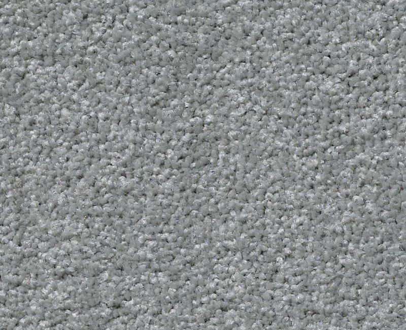 Great Choice Sterling Nylon Carpet - Textured