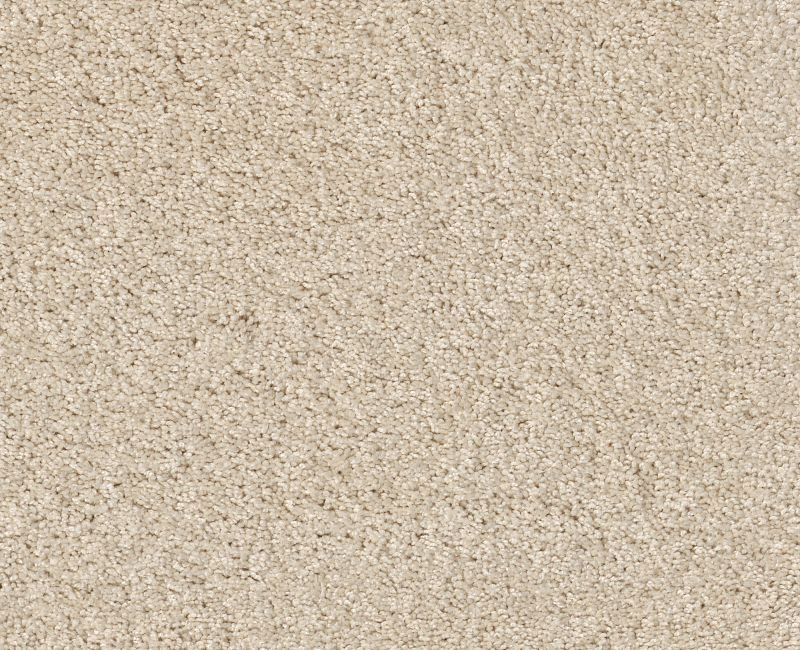 Detailed Elegance I China Pearl Nylon Carpet - Loop