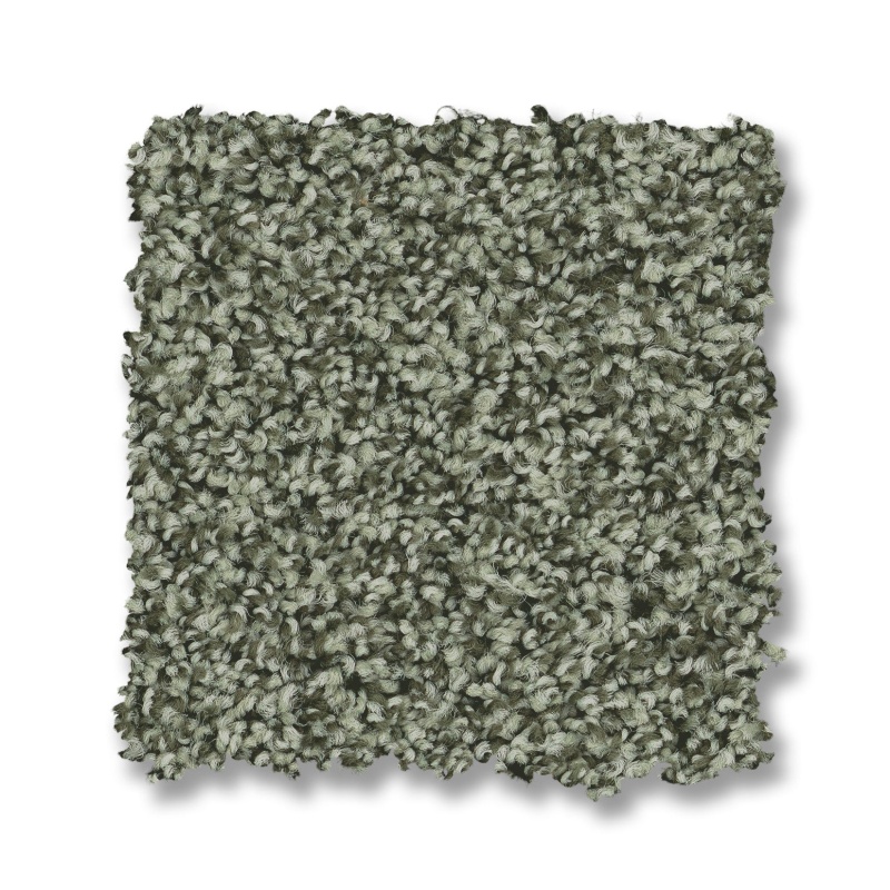 Bella Nova Oak Grove Nylon Carpet - Textured