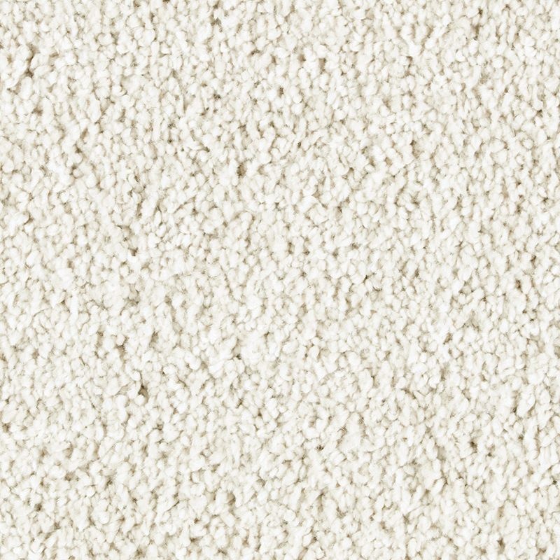 Exquisite Attraction Fine Silk Triexta Carpet - Textured