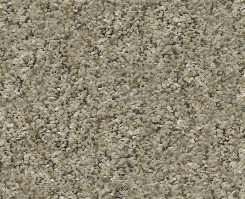 Marks The Spot I Tree House Polyester Carpet - Textured