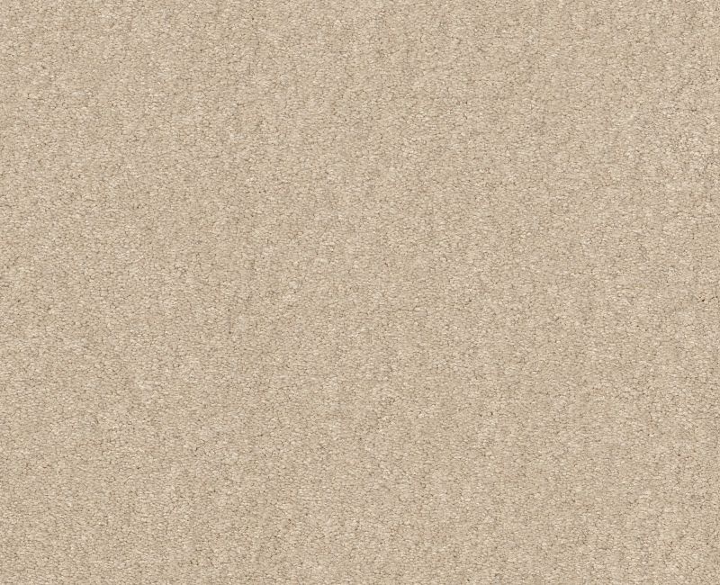 Magic Happens Pv Iii Sea Salt Nylon Carpet - Textured
