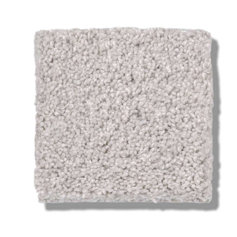 Caress By Shaw Cozy Harbor Ii Free Space Nylon Carpet - Textured