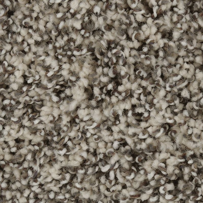 Exquisite Character Monarch Bone Triexta Carpet - Textured