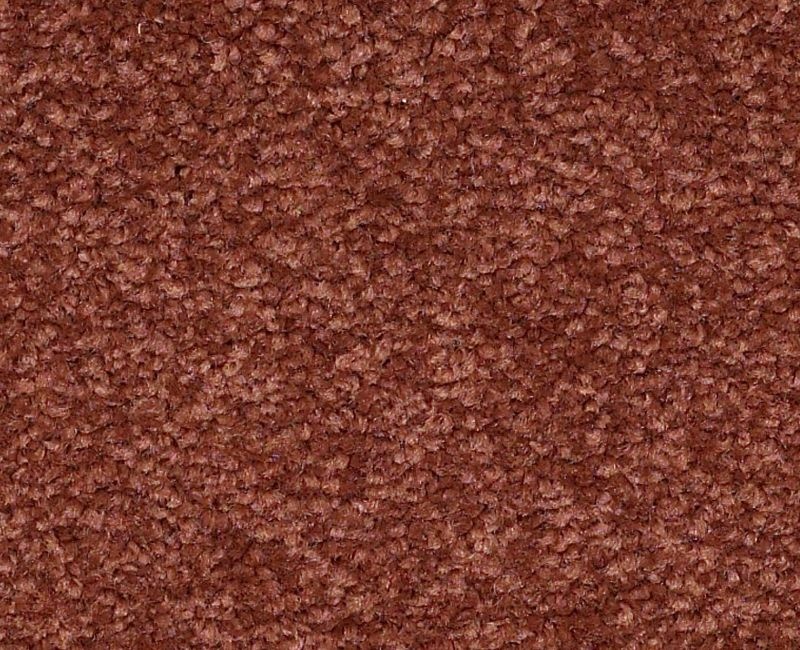 Matira Beach Spice Nylon Carpet - Textured