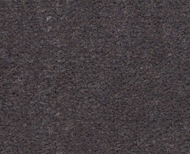 Emphatic II 36 Gray Nylon Carpet - Textured