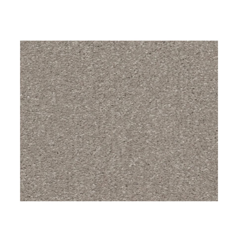 Bonny Doon Greige Polyester Carpet - Textured